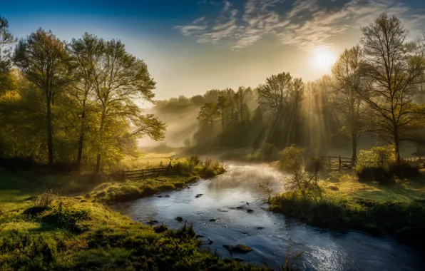 Picture trees, fog, river