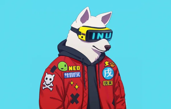 Minimalism, Dog, Glasses, Style, Background, Fantasy, Jacket, Dog