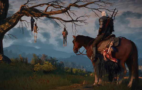 Tree, the Witcher, rpg, Geralt, the wild hunt, wild hunt, the witcher 3, cd Projekt …