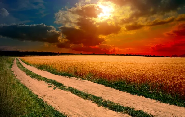Road, field, the sky, grass, the sun, clouds, sunset, nature