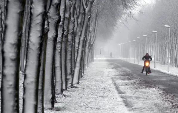 Winter, the city, street