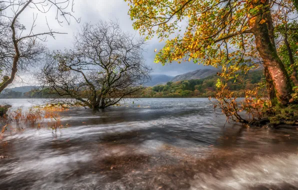 Autumn, trees, mountains, lake, England, Cumbria