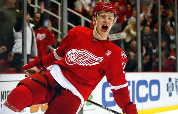 The game, Sport, Ice, Ice, Detroit, NHL, NHL, Hockey
