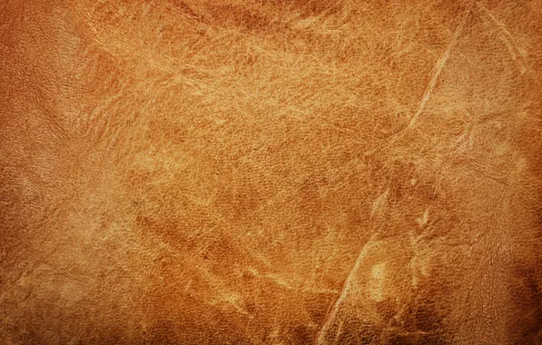 Leather, texture, leather, skin