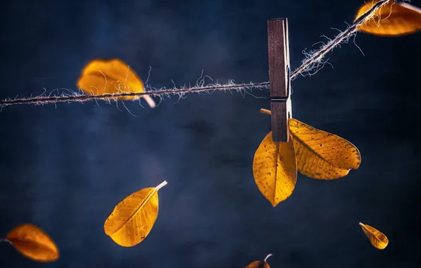 Autumn, leaves, clothespin