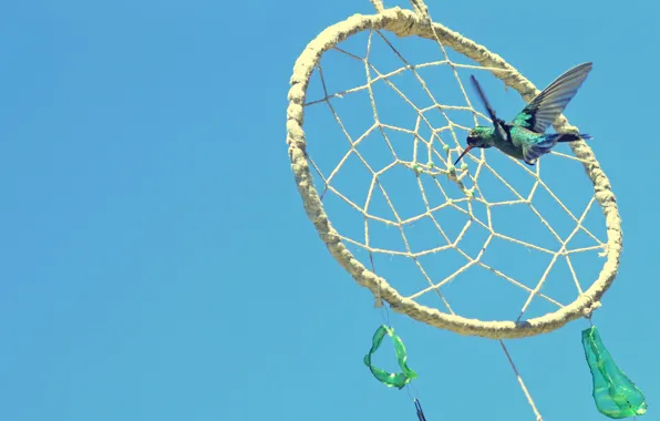 Bird, amulet, Dreamcatcher