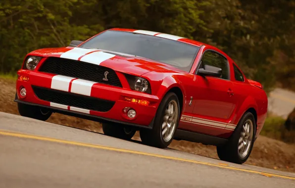 Shelby, GT500, Cobra