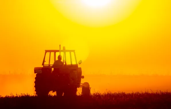 Picture field, tractor, worker