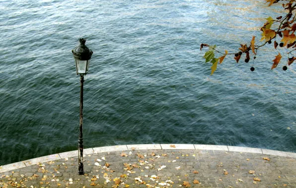 Leaves, the city, river, lantern