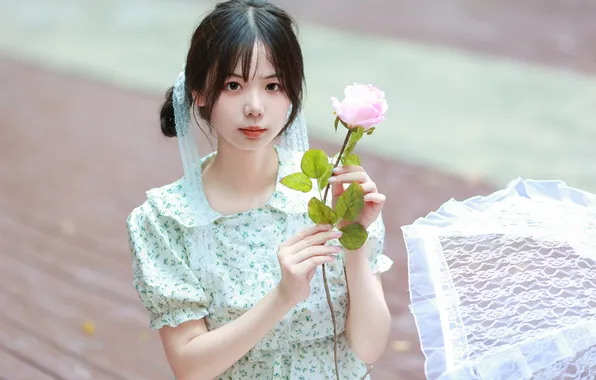 Beautiful, Asian, Model, Flower, Rose, Umbrella, Woman, Cute