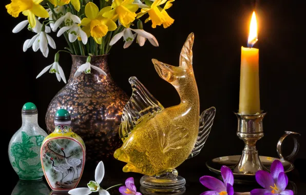 Flowers, style, reflection, candle, fish, bouquet, snowdrops, crocuses
