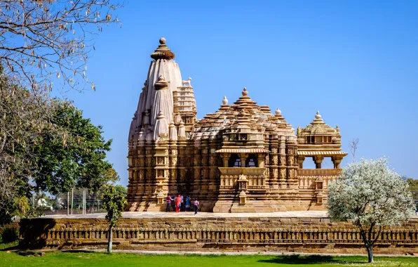 Greens, the sky, grass, the sun, trees, spring, India, temple