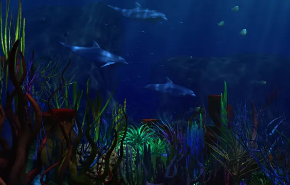 Picture sea, algae, dolphins, underwater world, corals. dark blue Poncini background