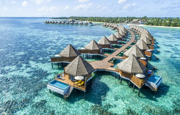 Tropics, the ocean, resort, Laguna, Bungalow