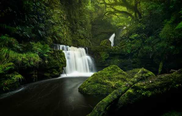 Greens, forest, river, stones, waterfall, moss, New Zealand, cascade