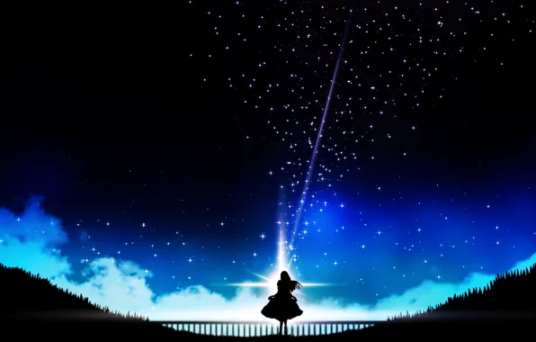 Night, art, silhouette of a girl, Miyuki Harada