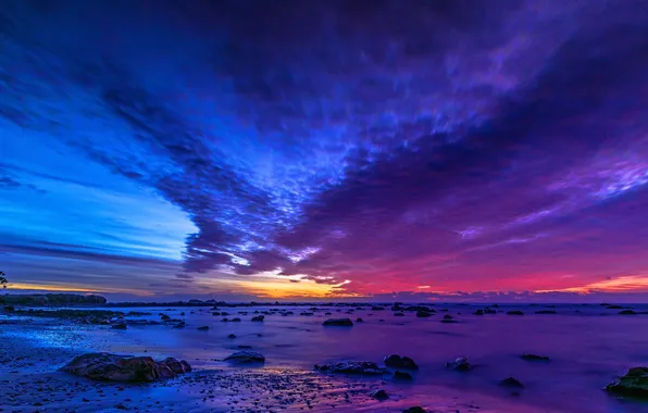 Picture sea, the sky, clouds, trees, stones, the evening, tide, glow