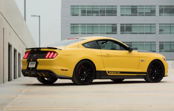Car, auto, Mustang, Ford, Shelby, Mustang, Shelby, yellow