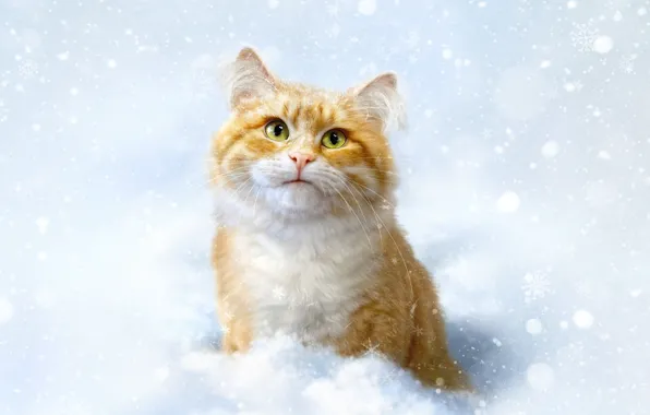 Winter, Cat, Snow, Cat, Style, Face, Art, Art