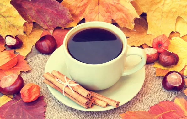 Picture autumn, leaves, coffee, Cup, acorns, autumn, leaves, book