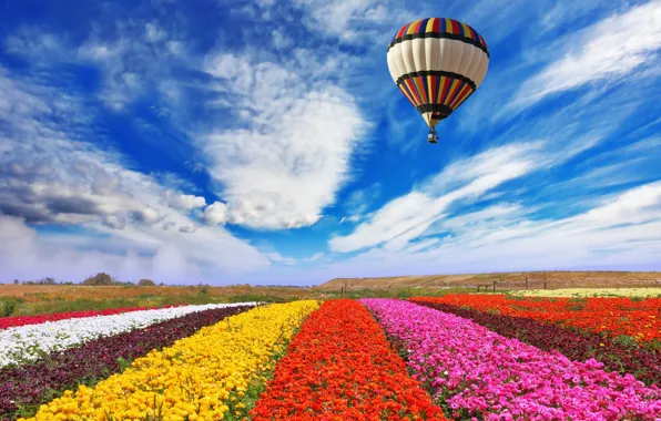 Field, the sky, clouds, flowers, nature, balloon