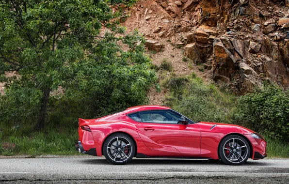 Picture rock, tree, coupe, Toyota, side, Supra, the fifth generation, in profile