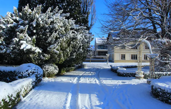 Park, winter, snow