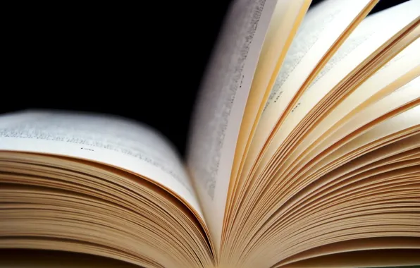 Macro, text, book, page