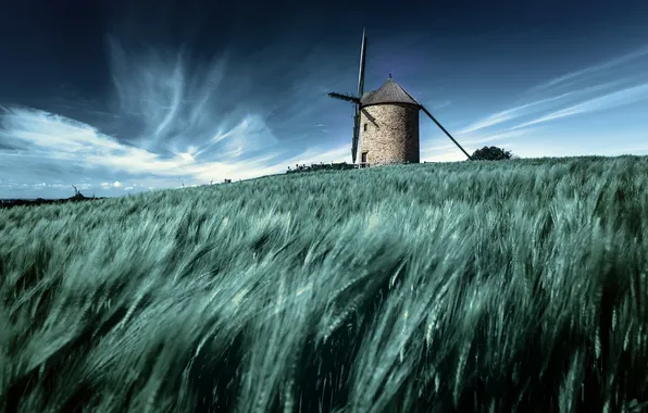 Picture field, summer, mill