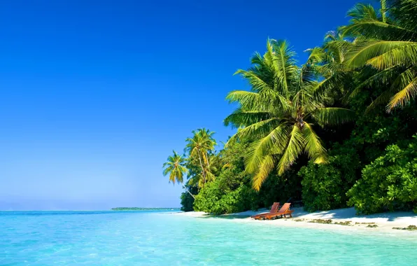 Sea, beach, palm trees, the ocean, shore, Paradise