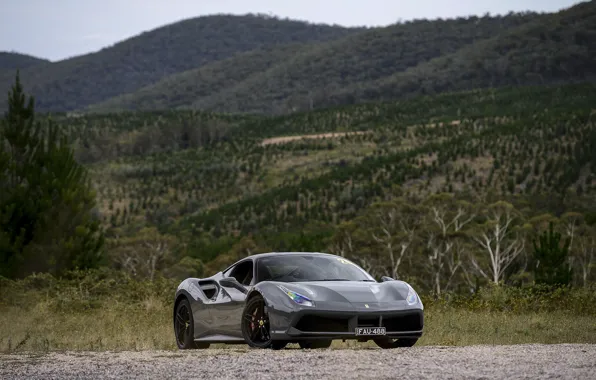 Picture ferrari, Ferrari, GTB, 488