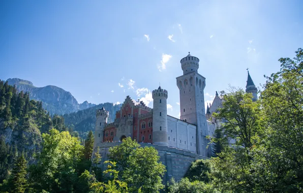 Greens, forest, the sky, trees, mountains, blue, castle, view