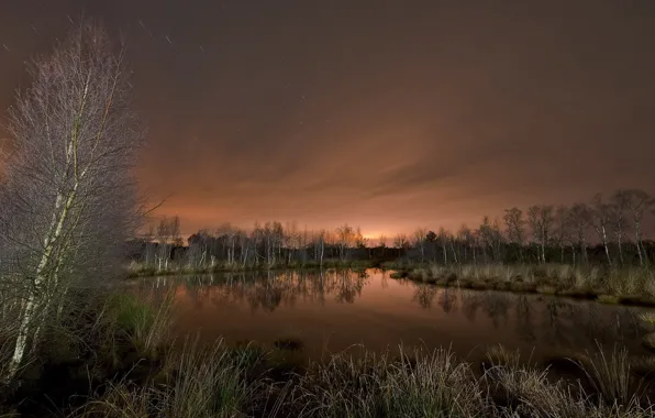 Landscape, night, lake