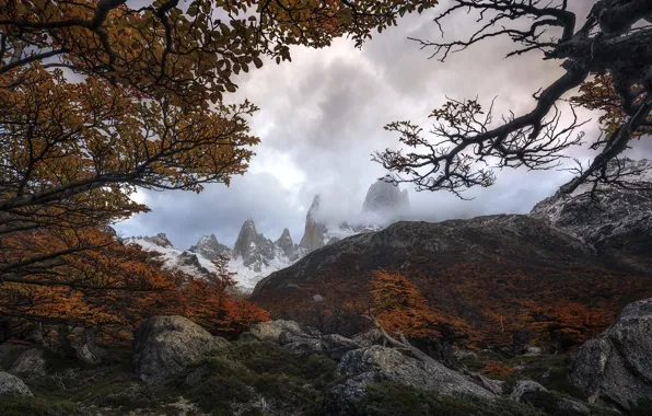 Trees, mountains, branches, nature, stones, Autumn, South America