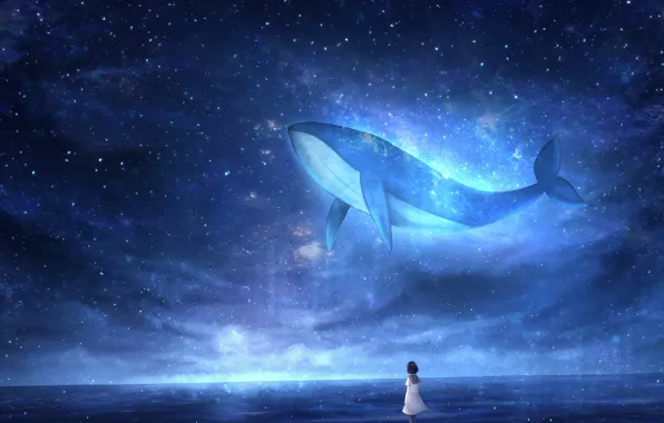 Picture sea, the sky, night, fantasy, kit, schoolgirl