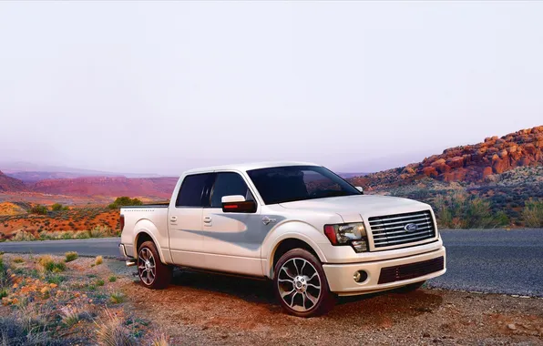 Picture Ford, Desert, Pickup, F-150