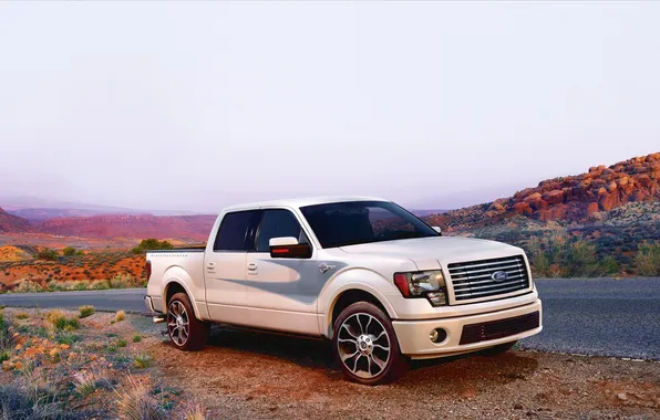 Ford, Desert, Pickup, F-150