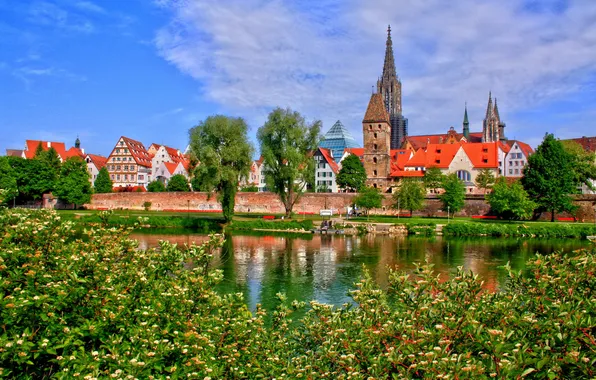 Picture forest, the sky, nature, the city, river, shore, home, Germany
