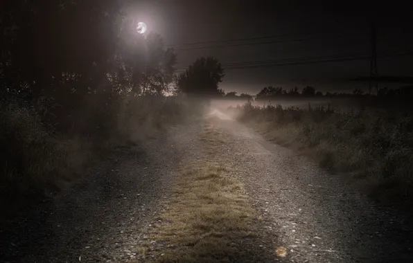 Road, night, the moon