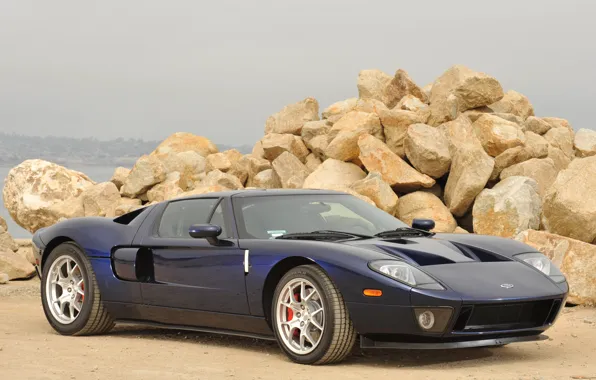 Picture Ford, beach, stones, '2004, gt