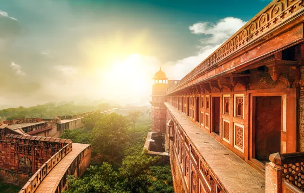 Picture trees, India, temple