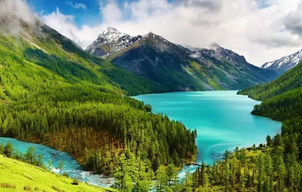 Forest, mountains, Russia, The Altai Mountains, The Kucherla lake