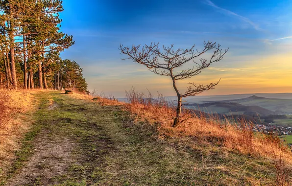 Road, mountains, nature, tree, Germany, Thuringia