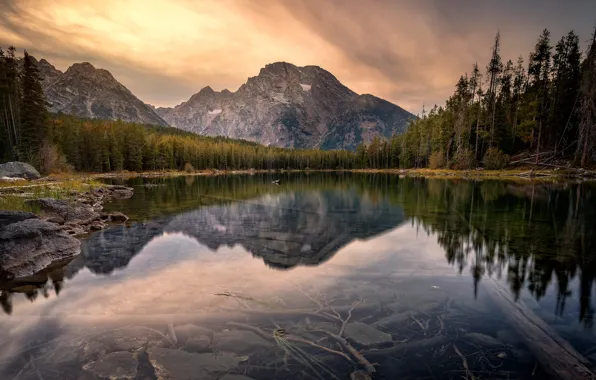 Picture forest, mountains, lake, reflection, pond, national Park, Grand Teton