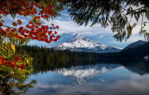 Picture autumn, forest, branches, lake, reflection, mountain, Oregon, Oregon