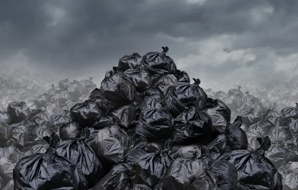 Picture pollution, trash bags, waste