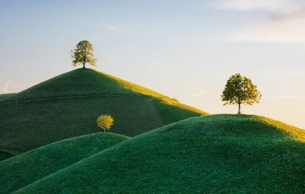 The sky, trees, nature, hills