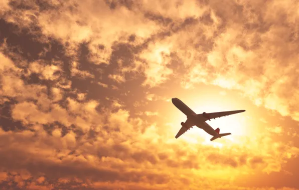 The sky, flight, aviation, the plane