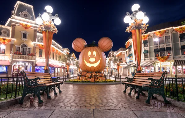 Night, lights, Park, street, lights, CA, USA, Disneyland