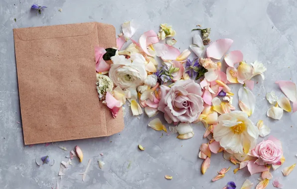 Picture flowers, paper, flowers, backgrounds, the envelope, card